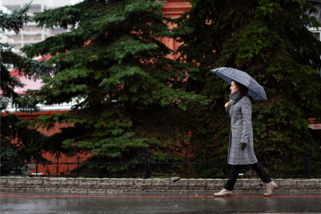 Nu Cuoi Khong Vui Nguyen Si Kha • Rainy Day Memories • 2023